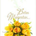 Bellos momentos…
