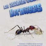 Las asombrosas hormigas