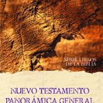 Nuevo Testamento. Panorama general.