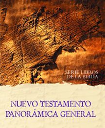 Nuevo Testamento. Panorama general.