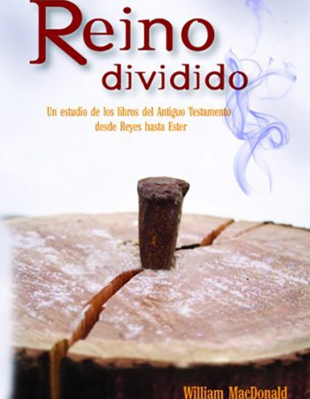 Reino dividido. Un estudio de libros del AT desde Reyes hasta Ester
