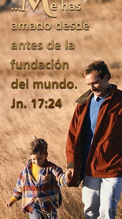 Señaladores – Marcador (Pack x 20 u) 1